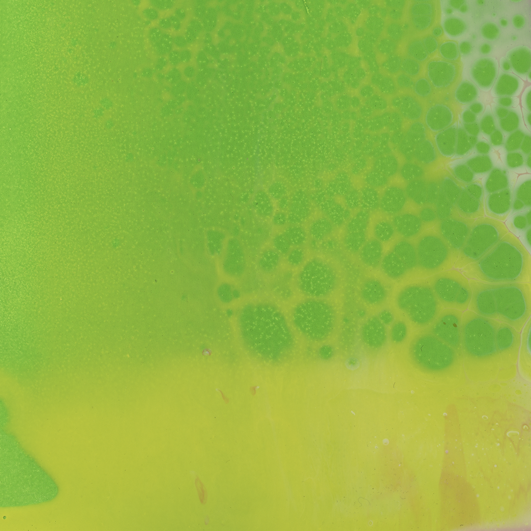 This is a detail of the painting Orbit