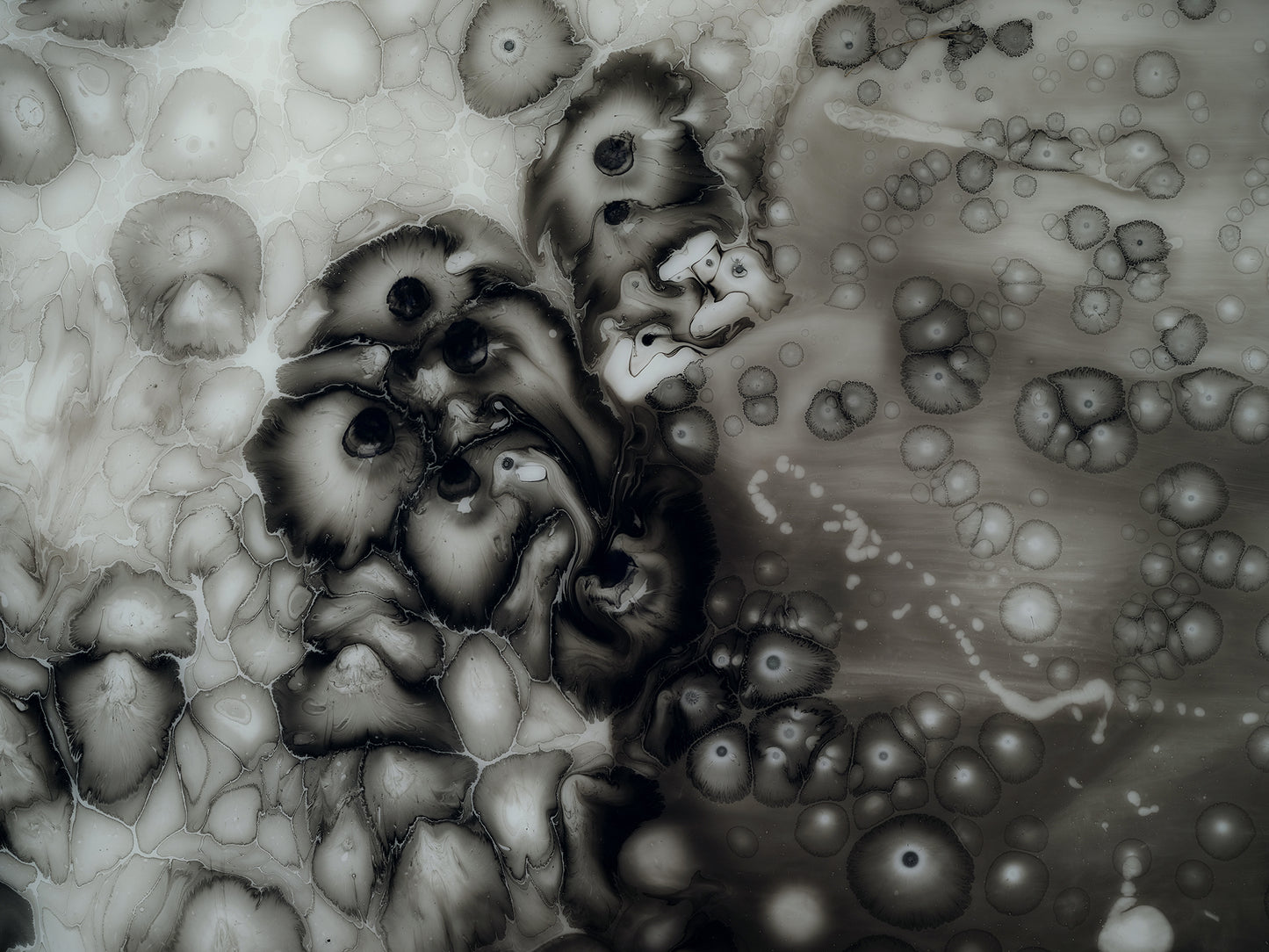 Cloud of Unknowing