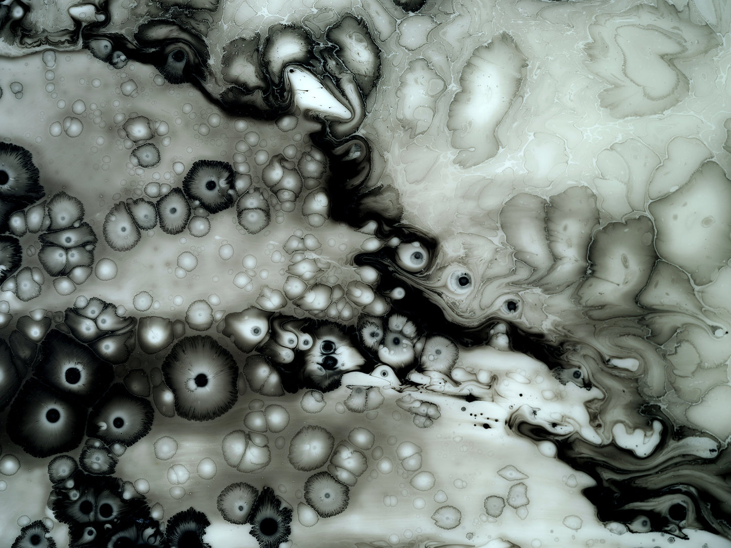 Cloud of Unknowing