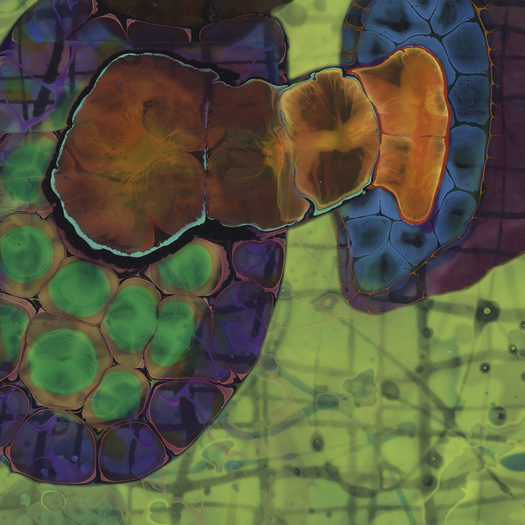 This is a detail of the painting Fragment.