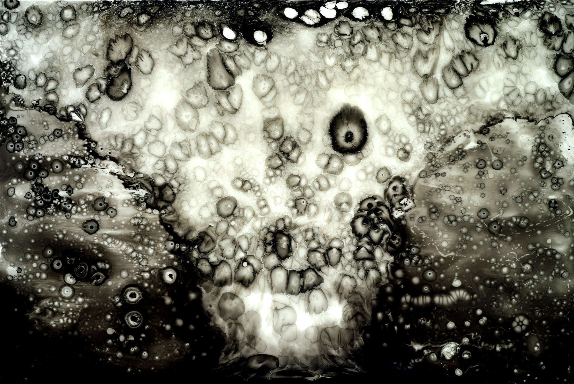 Large Paintings – Bruce Riley Gallery
