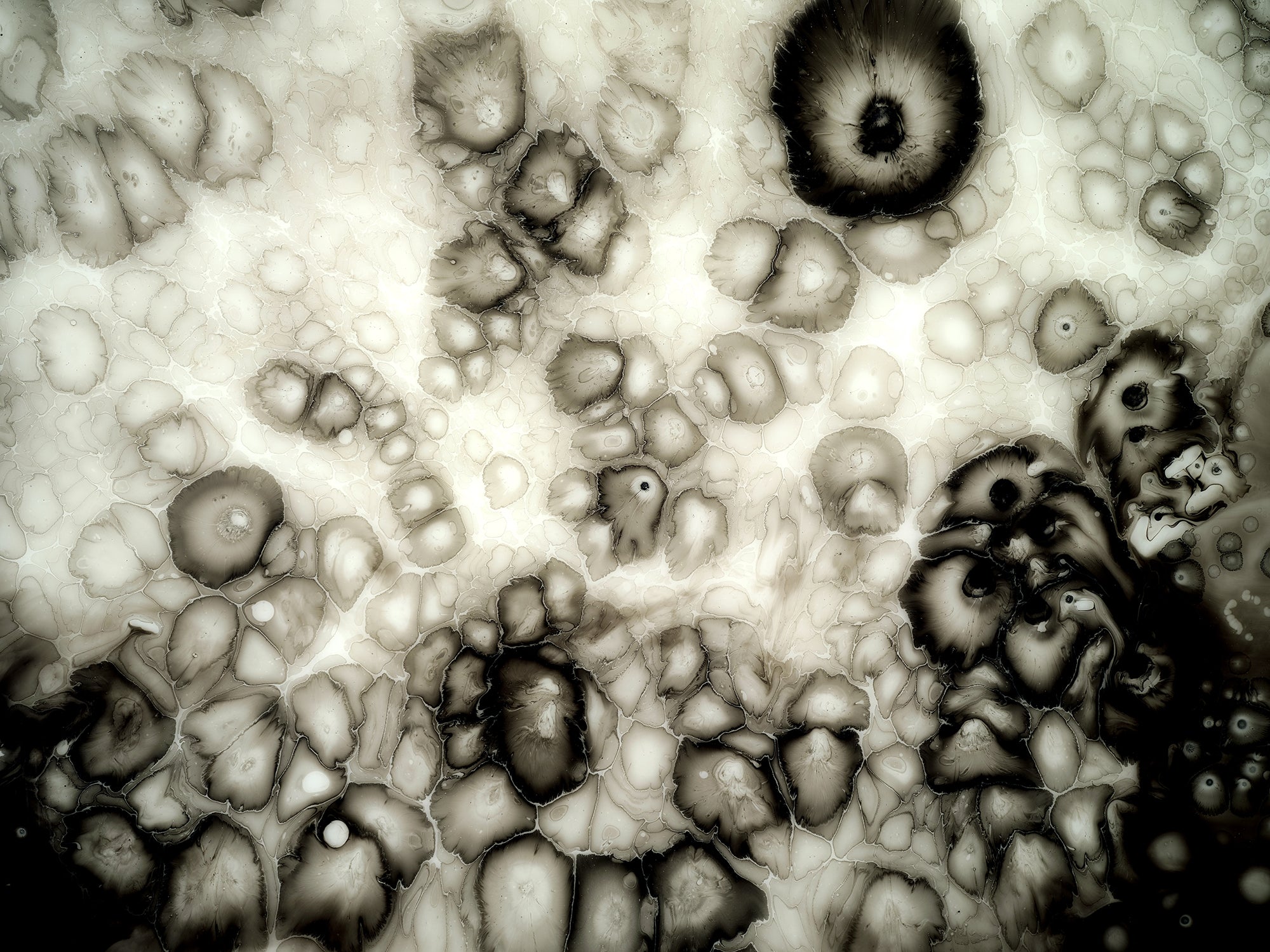 Bruce Riley available paintings – Bruce Riley Gallery