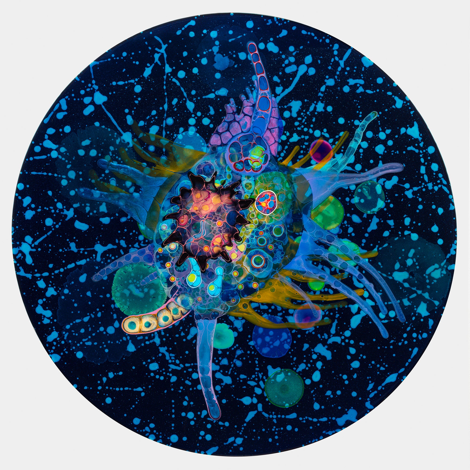 Bruce Riley available paintings – Bruce Riley Gallery