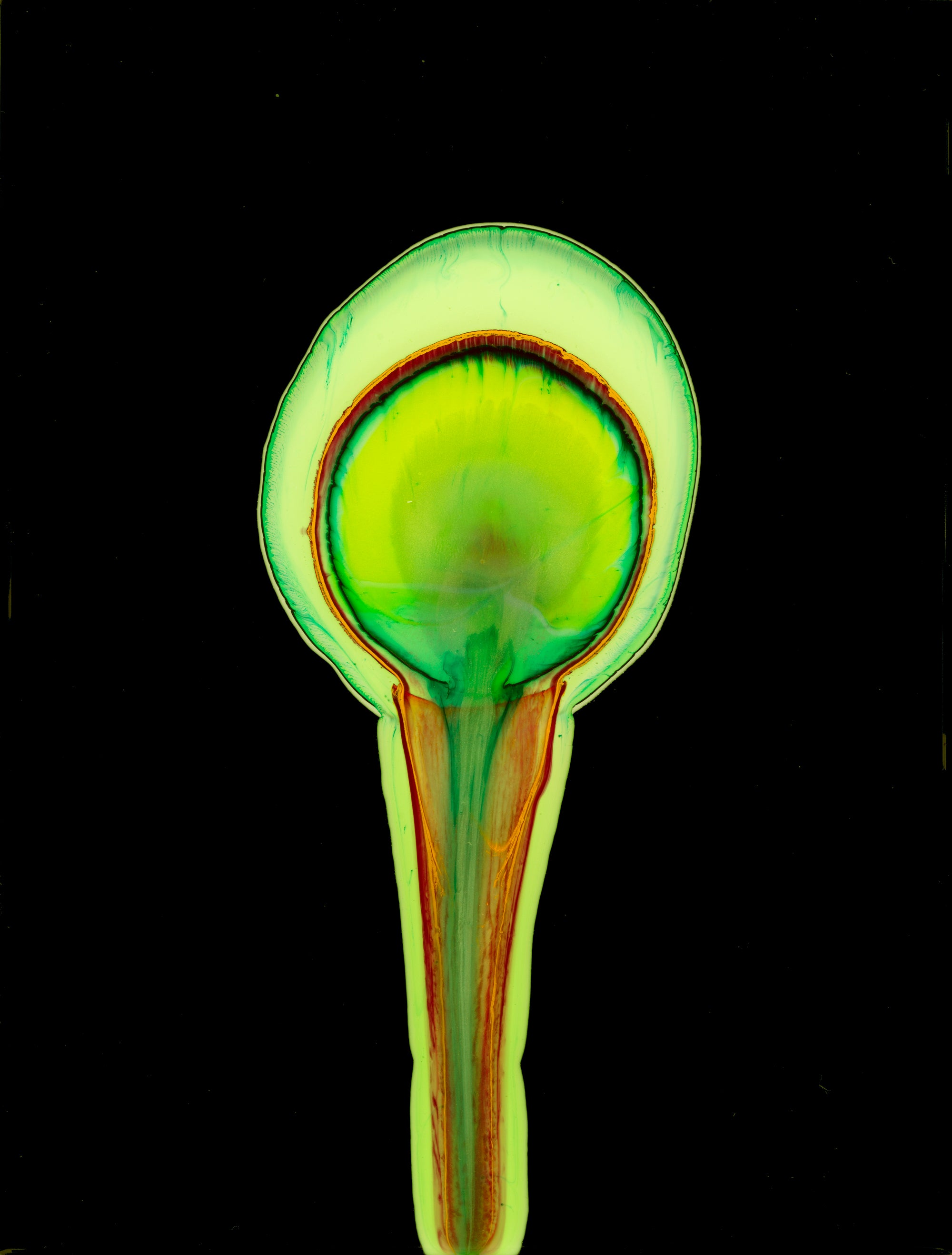 Bruce Riley available paintings – Bruce Riley Gallery